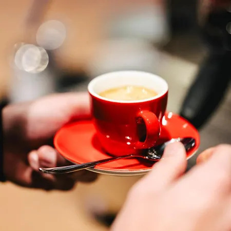 Ibis Centre Rive Droite Pasteur 3*