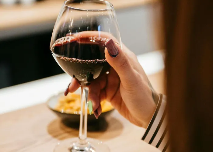 Hotel Ibis Centre Rive Droite Pasteur